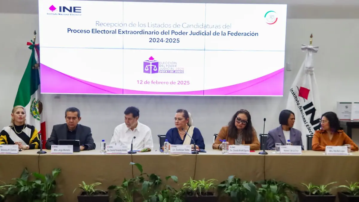 INE publica candidatos del Senado al PJF